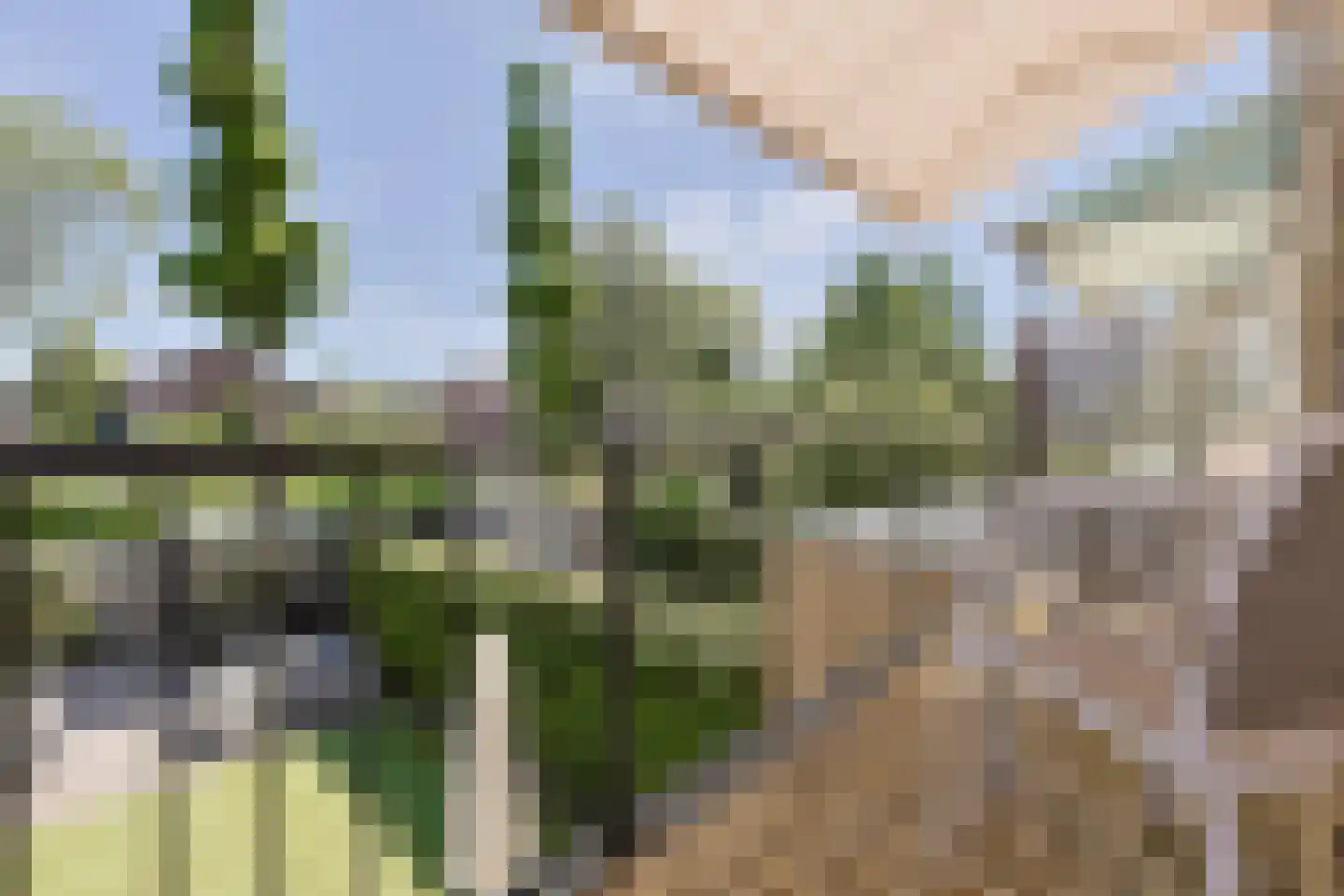Stortenbekerstraat 55 Nieuwkoop thumbnail 44