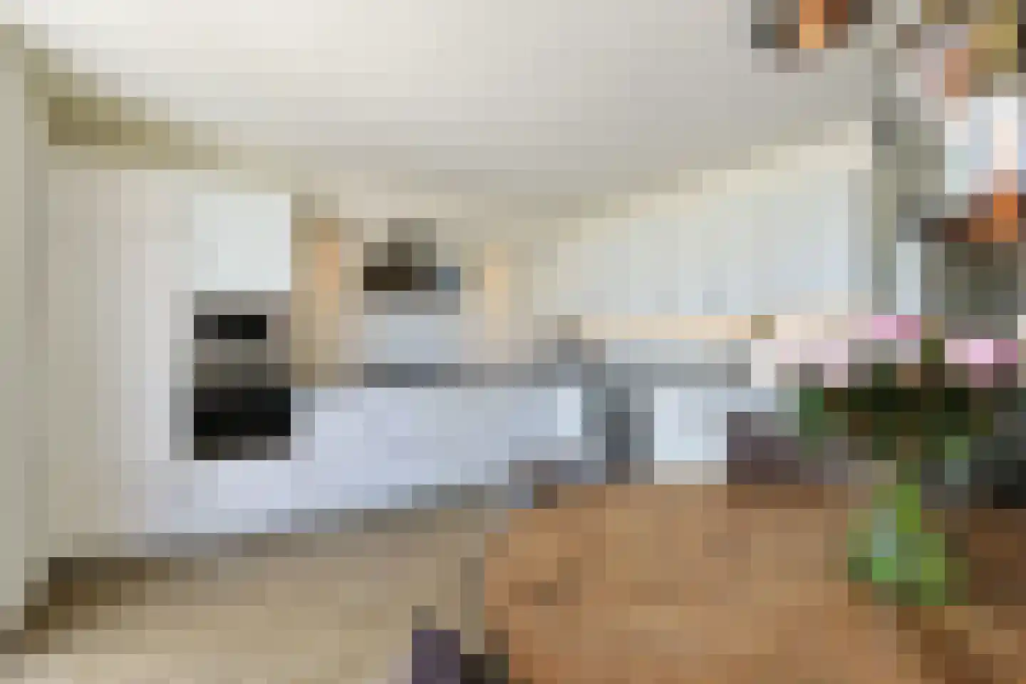 Stortenbekerstraat 55 Nieuwkoop thumbnail 8