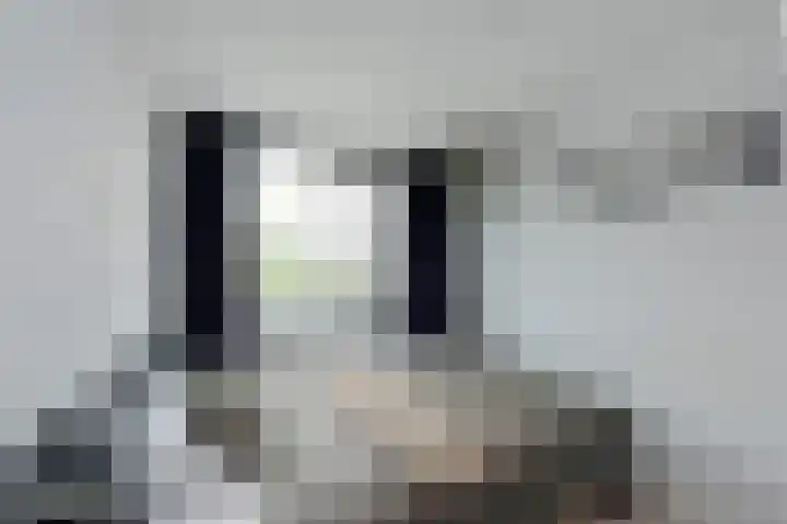 Stortenbekerstraat 9 Nieuwkoop thumbnail 16