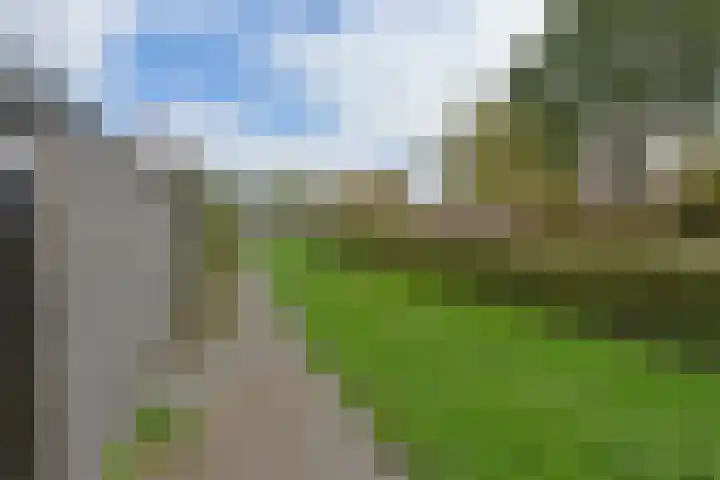 Stortenbekerstraat 9 Nieuwkoop thumbnail 28