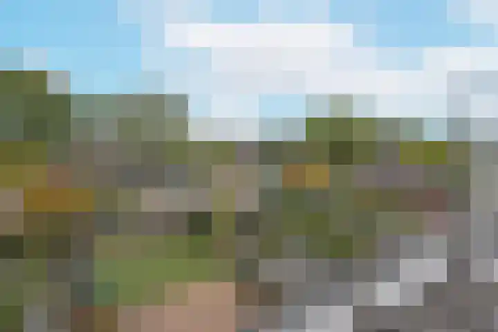 Stortenbekerstraat 9 Nieuwkoop thumbnail 31