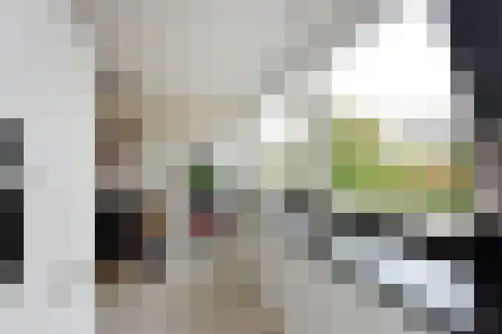 Stortenbekerstraat 9 Nieuwkoop thumbnail 4