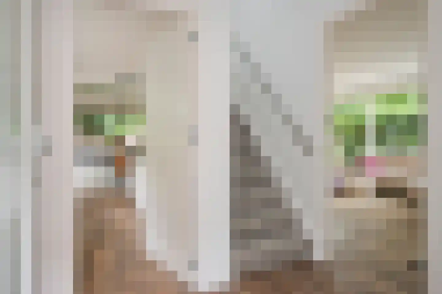 Stortweg 1 Oosterbeek thumbnail 31