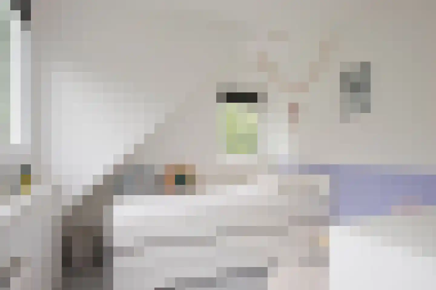 Stortweg 1 Oosterbeek thumbnail 37