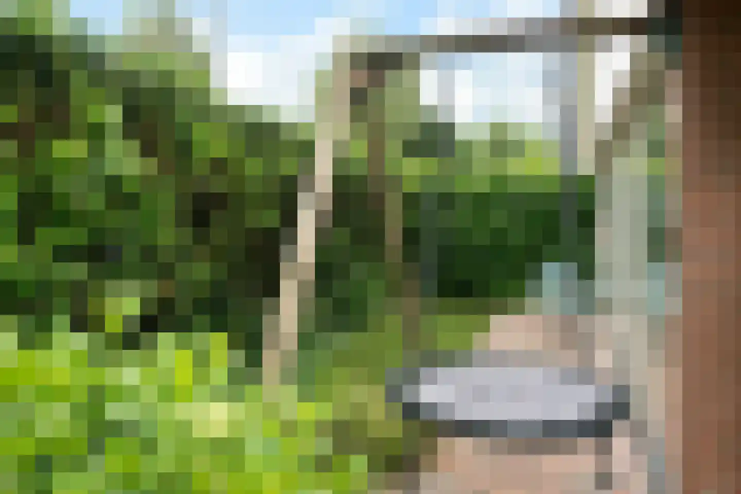 Stortweg 1 Oosterbeek thumbnail 53