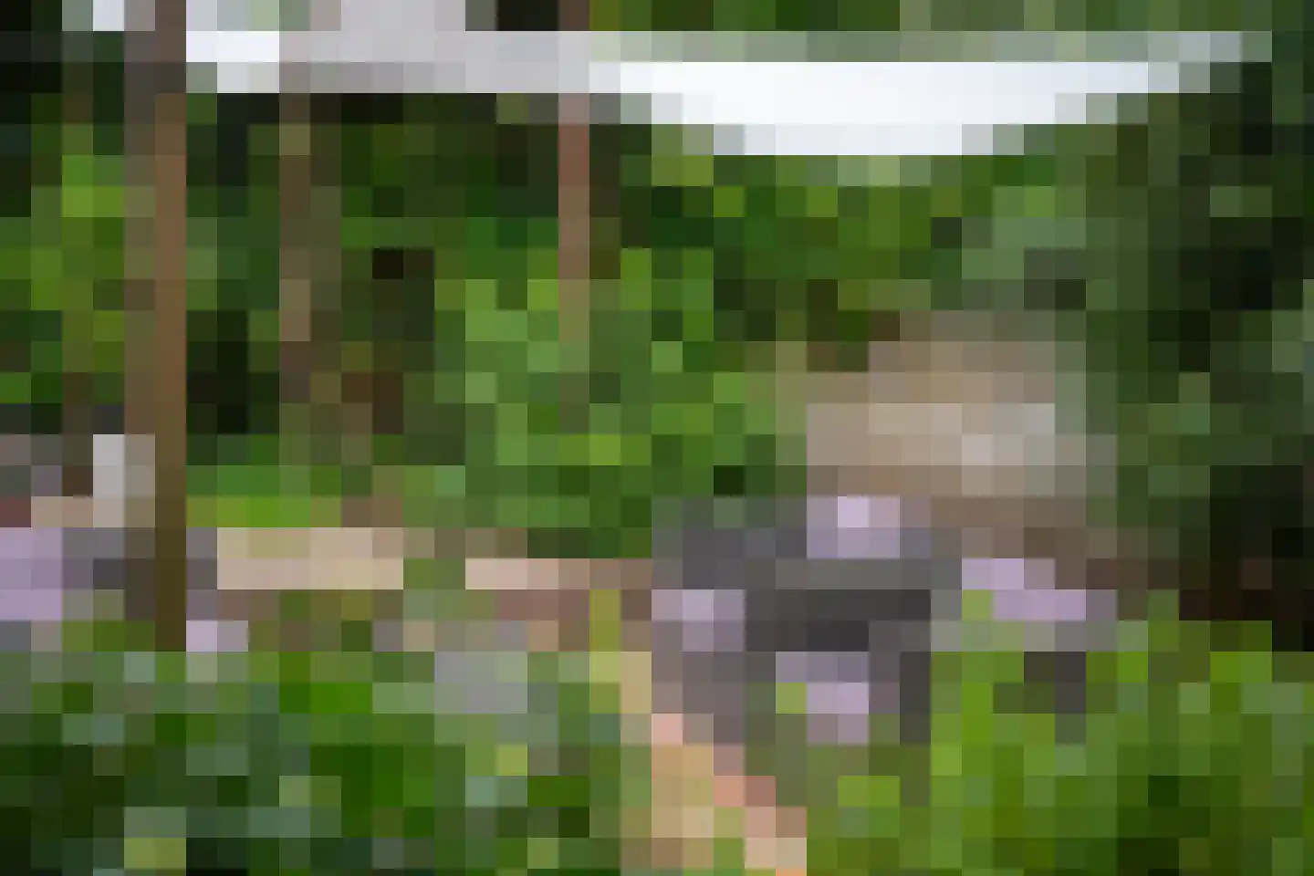 Stortweg 1 Oosterbeek thumbnail 59