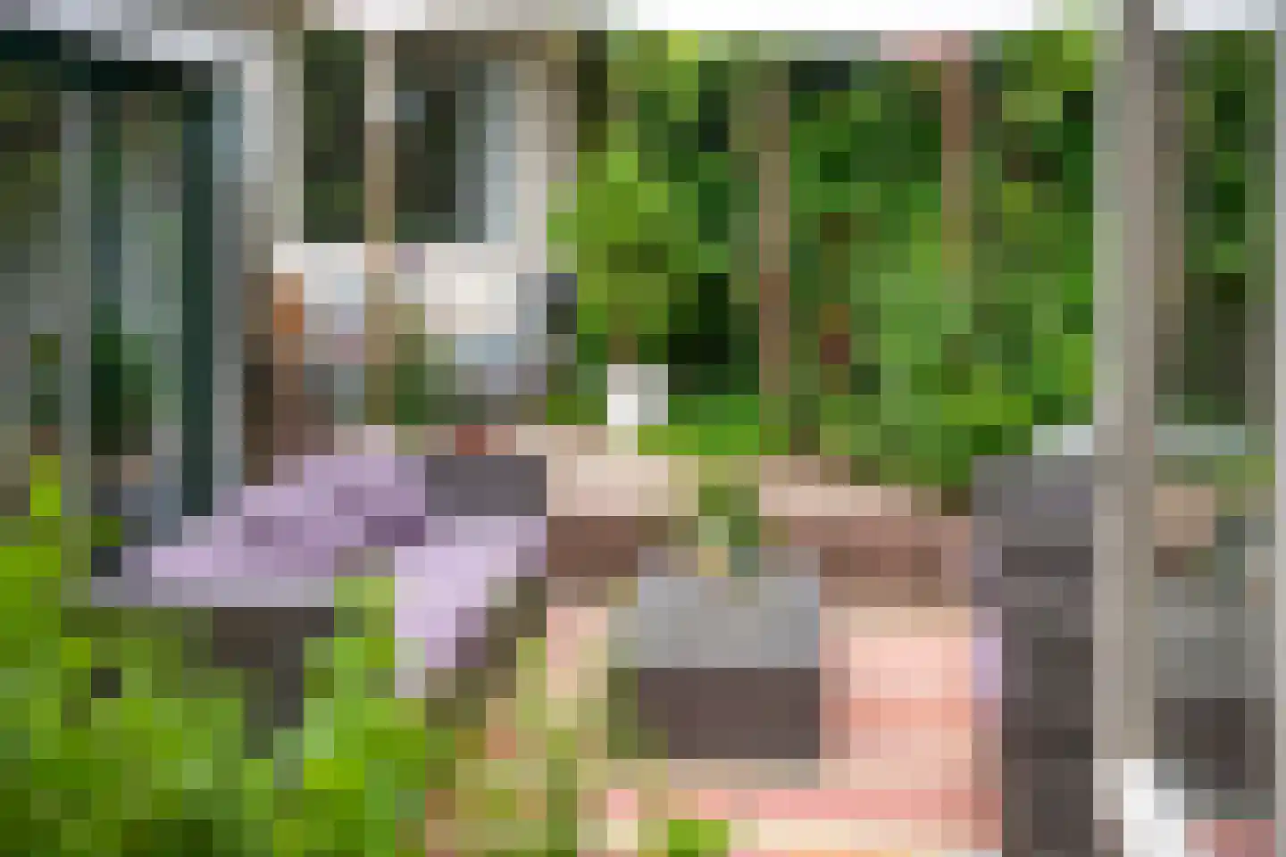 Stortweg 1 Oosterbeek thumbnail 61