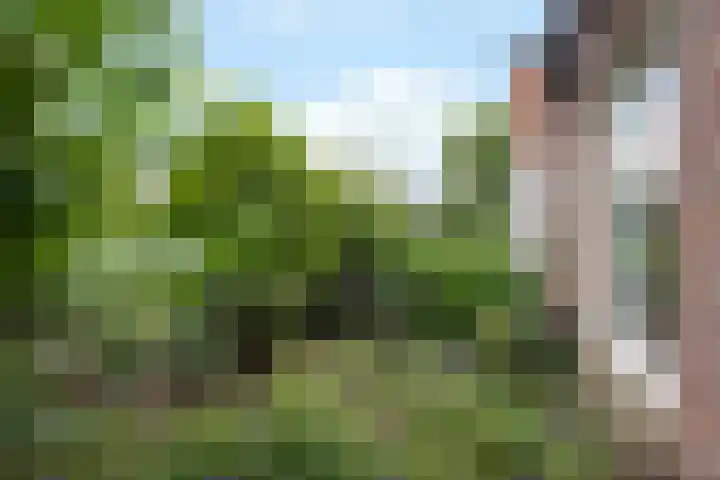 Stortweg 12 Oosterbeek thumbnail 47