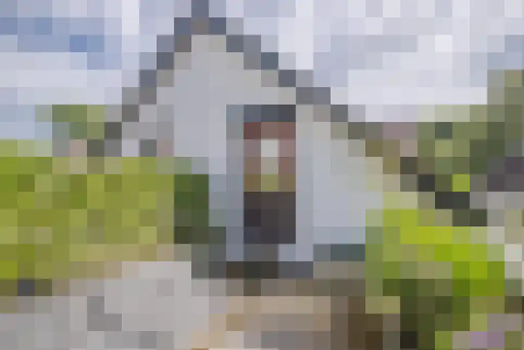 Stortweg 3 Oosterbeek thumbnail 18