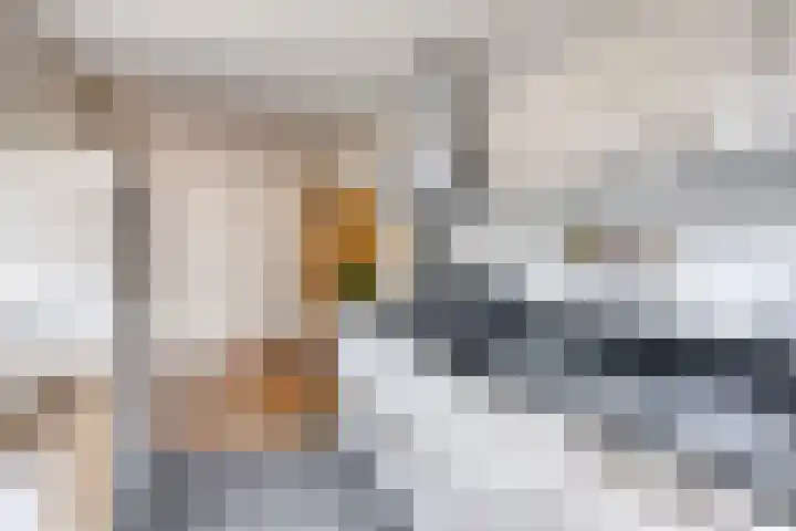 Stotijnstraat 16 Tilburg thumbnail 15