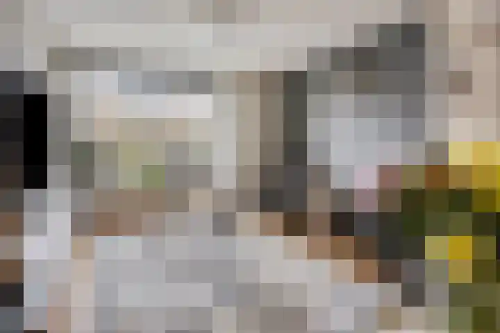 Stotijnstraat 16 Tilburg thumbnail 5