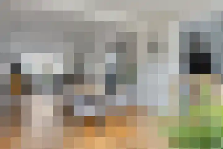 Stotijnstraat 16 Tilburg thumbnail 9