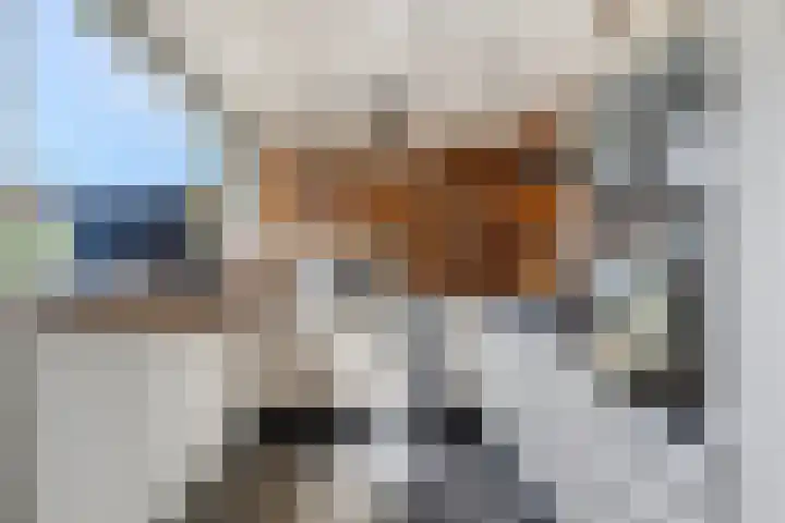 Stotijnstraat 39 Tilburg thumbnail 5