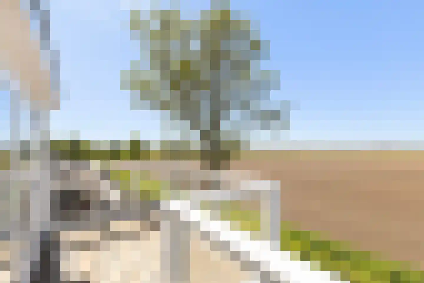 Stougjesdijk 107 Mijnsheerenland thumbnail 29