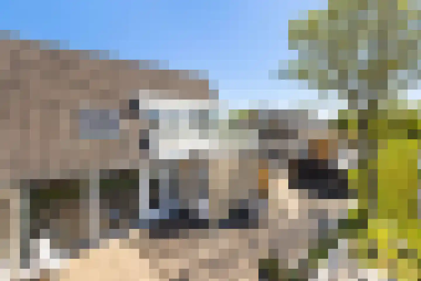 Stougjesdijk 107 Mijnsheerenland thumbnail 40