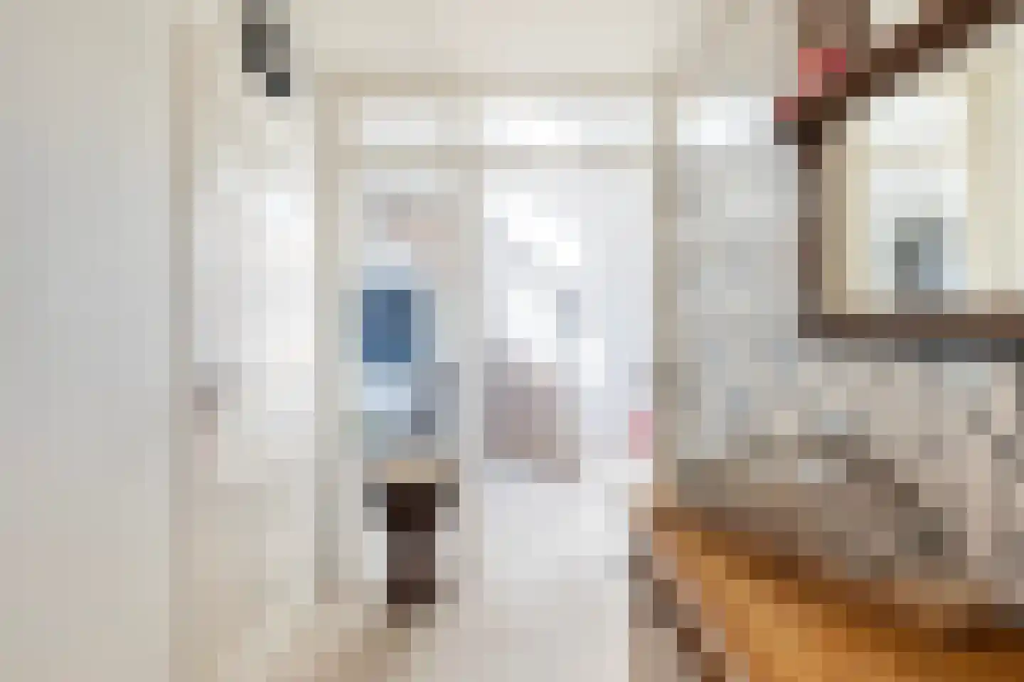 Stougjesdijk 107 Mijnsheerenland thumbnail 7