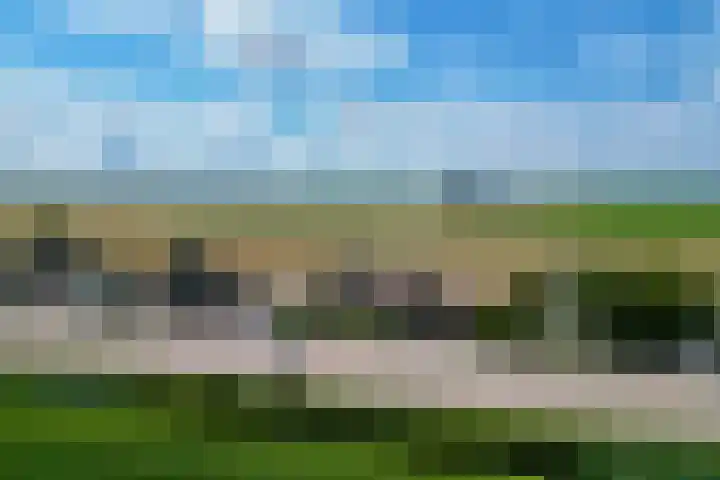 Stougjesdijk 115 dans Mijnsheerenland