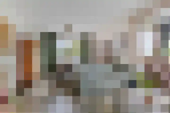 Stougjesdijk 115 Mijnsheerenland thumbnail 10