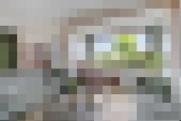 Stougjesdijk 115 Mijnsheerenland thumbnail 11