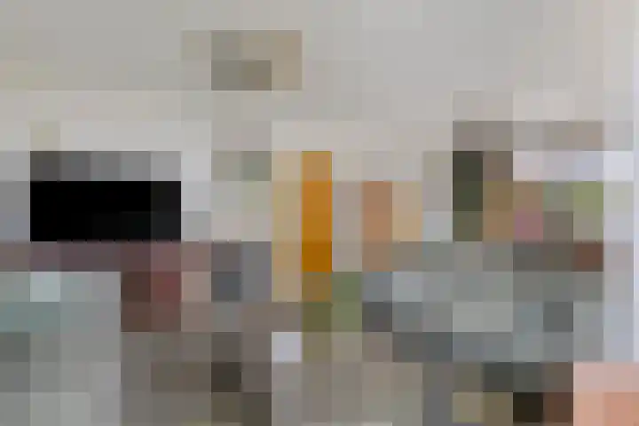 Stougjesdijk 115 Mijnsheerenland thumbnail 12