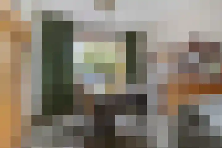 Stougjesdijk 115 Mijnsheerenland thumbnail 14