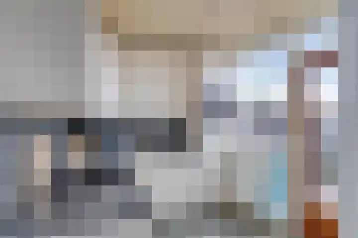 Stougjesdijk 115 Mijnsheerenland thumbnail 16