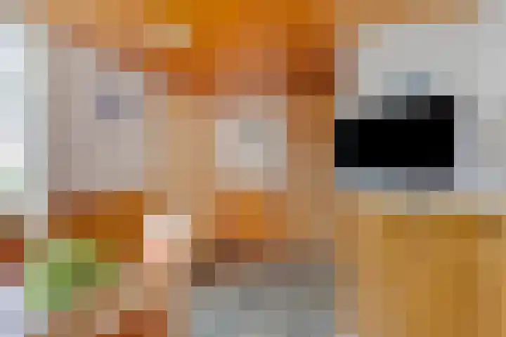 Stougjesdijk 115 Mijnsheerenland thumbnail 19