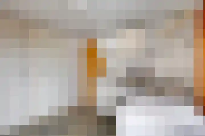 Stougjesdijk 115 Mijnsheerenland thumbnail 21