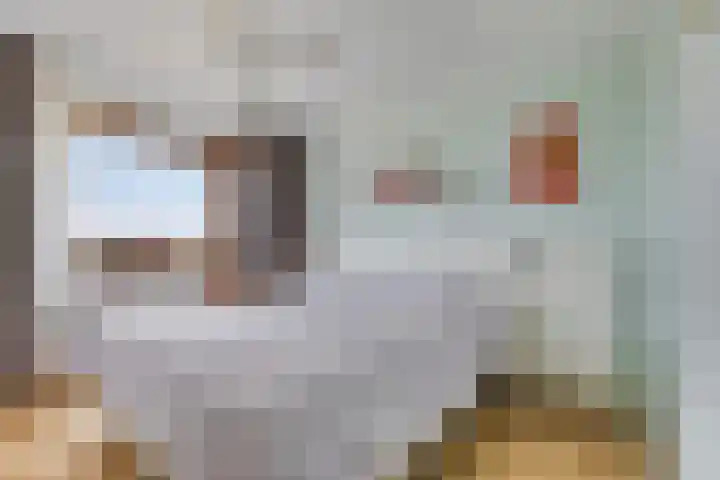 Stougjesdijk 115 Mijnsheerenland thumbnail 25
