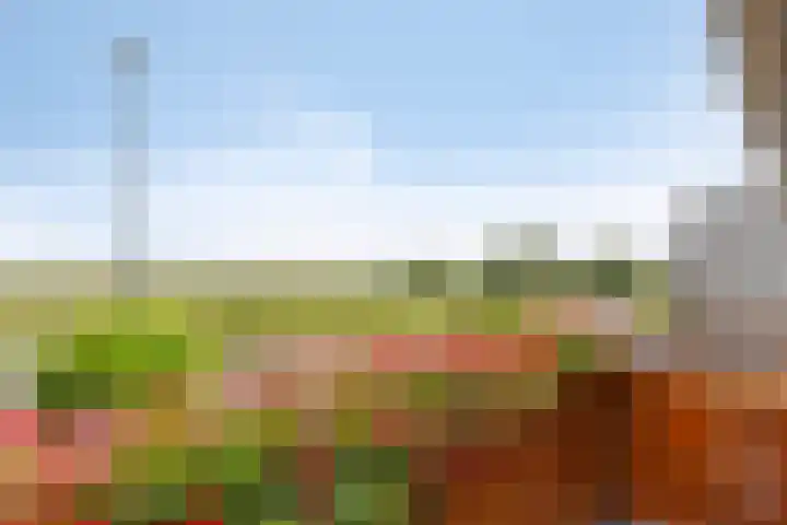 Stougjesdijk 115 Mijnsheerenland thumbnail 27