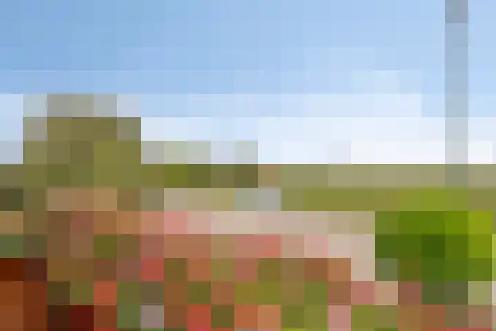 Stougjesdijk 115 Mijnsheerenland thumbnail 28