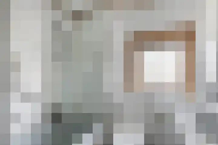 Stougjesdijk 115 Mijnsheerenland thumbnail 29