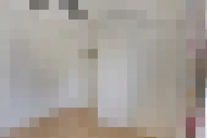 Stougjesdijk 115 Mijnsheerenland thumbnail 32