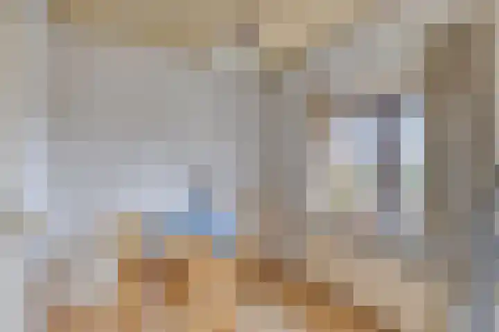 Stougjesdijk 115 Mijnsheerenland thumbnail 33