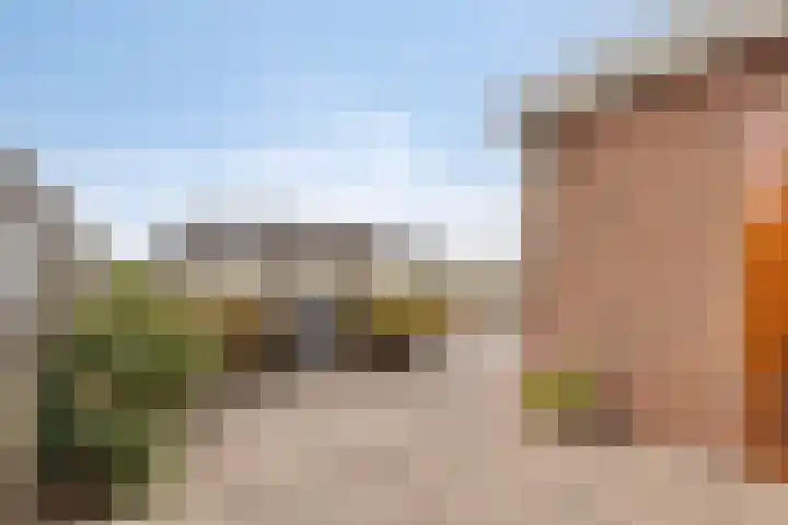 Stougjesdijk 115 Mijnsheerenland thumbnail 34