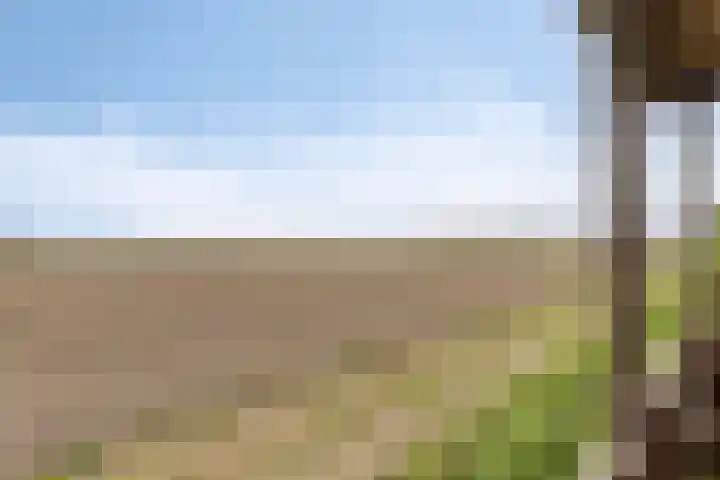 Stougjesdijk 115 Mijnsheerenland thumbnail 37
