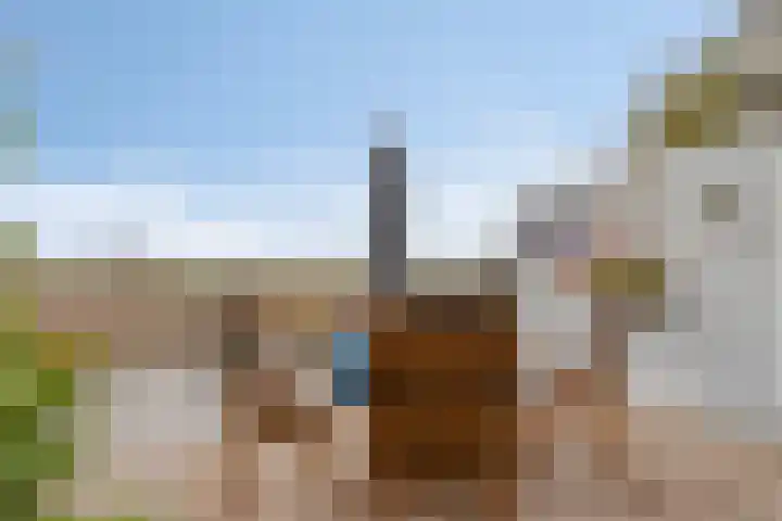 Stougjesdijk 115 Mijnsheerenland thumbnail 38