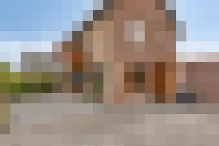 Stougjesdijk 115 Mijnsheerenland thumbnail 4