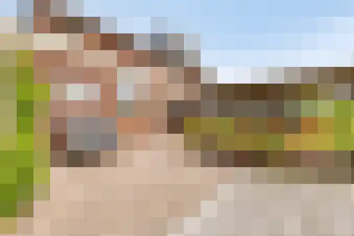 Stougjesdijk 115 Mijnsheerenland thumbnail 41