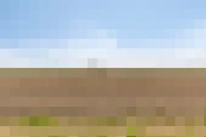 Stougjesdijk 115 Mijnsheerenland thumbnail 42