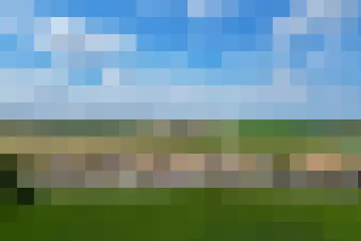 Stougjesdijk 115 Mijnsheerenland thumbnail 43