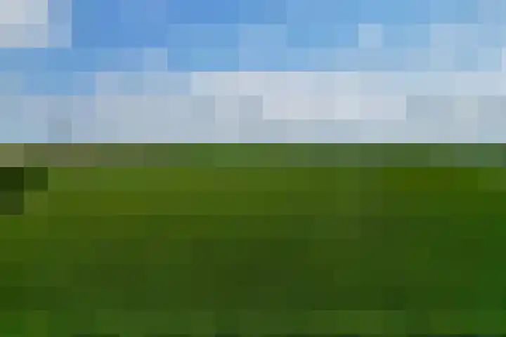 Stougjesdijk 115 Mijnsheerenland thumbnail 44