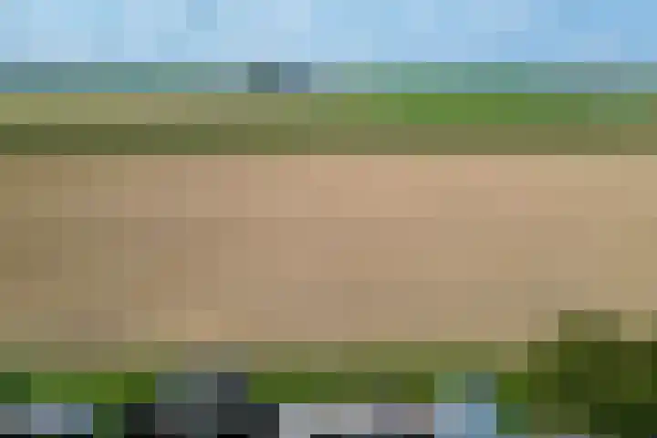 Stougjesdijk 115 Mijnsheerenland thumbnail 45