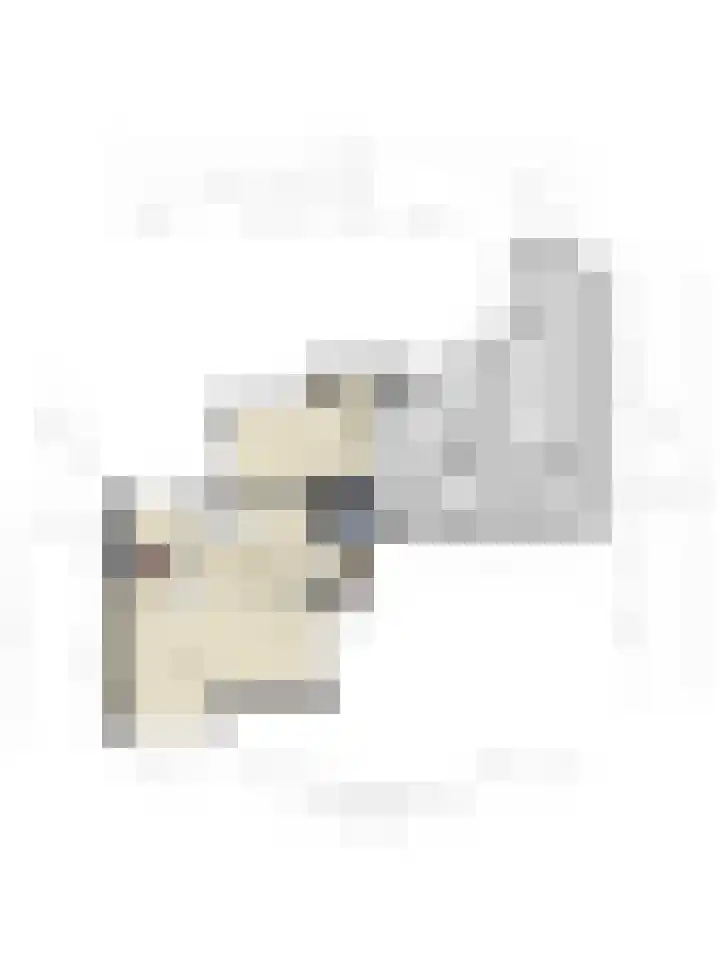 Stougjesdijk 115 Mijnsheerenland thumbnail 47