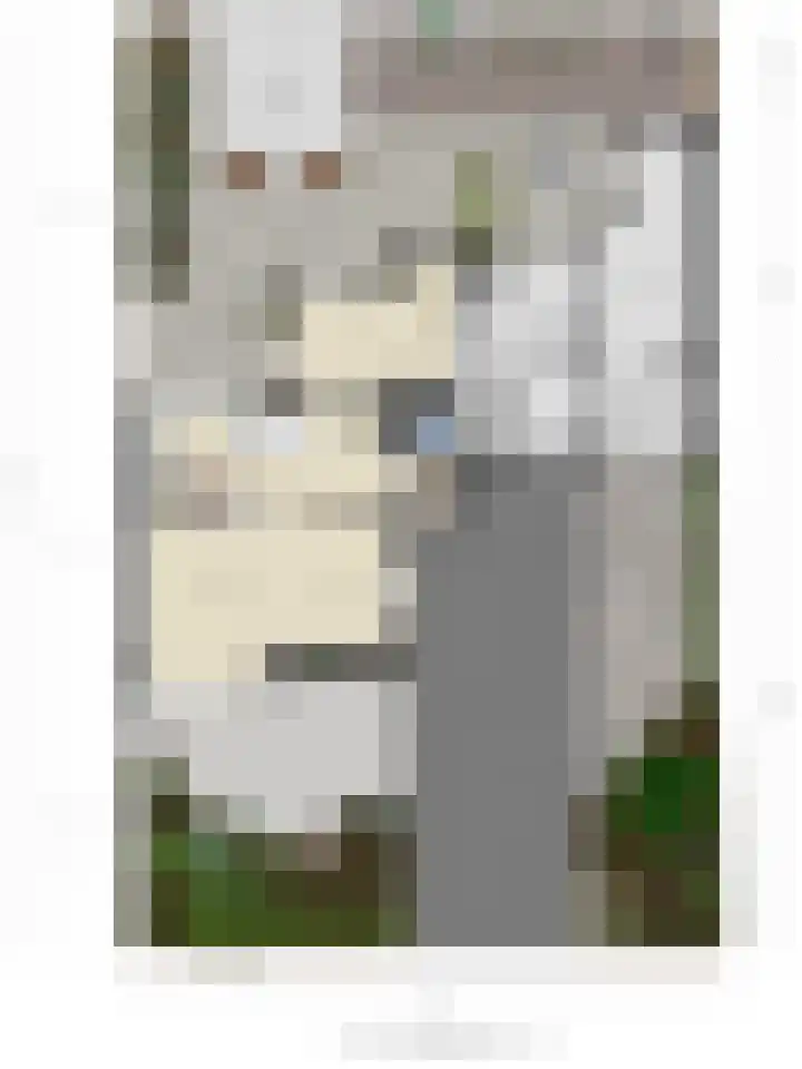Stougjesdijk 115 Mijnsheerenland thumbnail 48