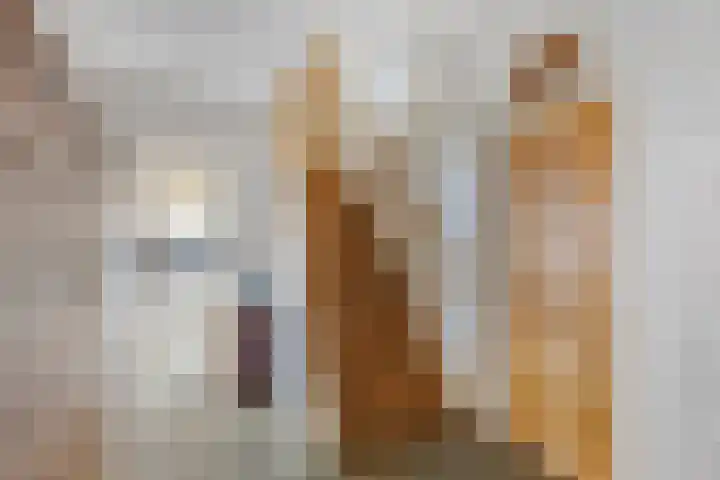 Stougjesdijk 115 Mijnsheerenland thumbnail 7