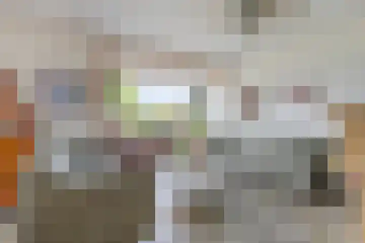 Stougjesdijk 115 Mijnsheerenland thumbnail 8