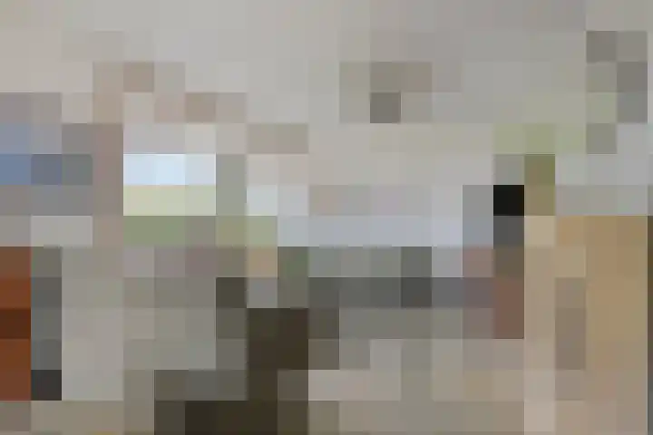 Stougjesdijk 115 Mijnsheerenland thumbnail 9