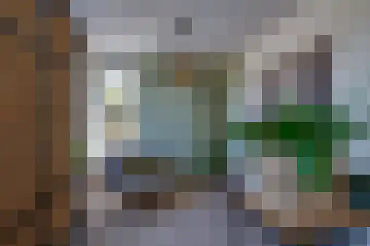 Stougjesdijk 171 Mijnsheerenland thumbnail 12