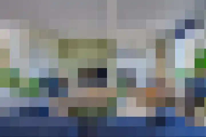 Stougjesdijk 171 Mijnsheerenland thumbnail 13